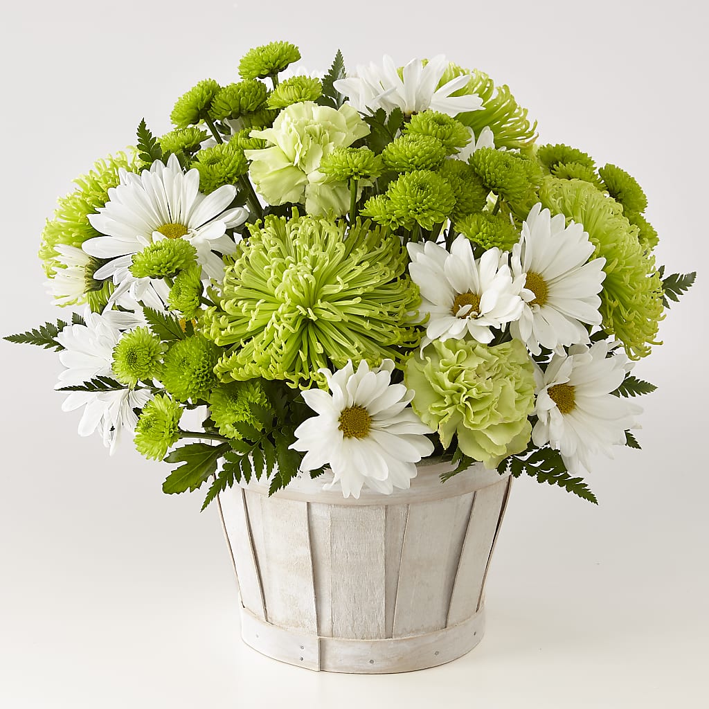 Lucky Charm Basket (Standard) – THE FLORAL SHOP BY LOWE'S NURSERY, Morganton NC