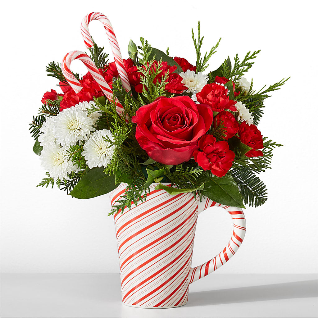 Peppermint Swirl Mug – THE FLORAL SHOP BY LOWE'S NURSERY, Morganton NC