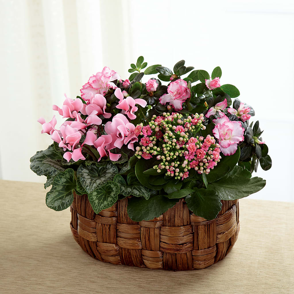 Pink Assortment – THE FLORAL SHOP BY LOWE'S NURSERY, Morganton NC