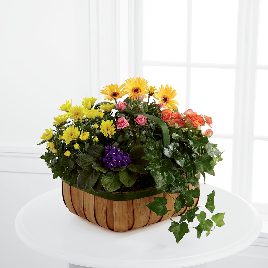 Gentle Blossoms Basket – THE FLORAL SHOP BY LOWE'S NURSERY, Morganton NC