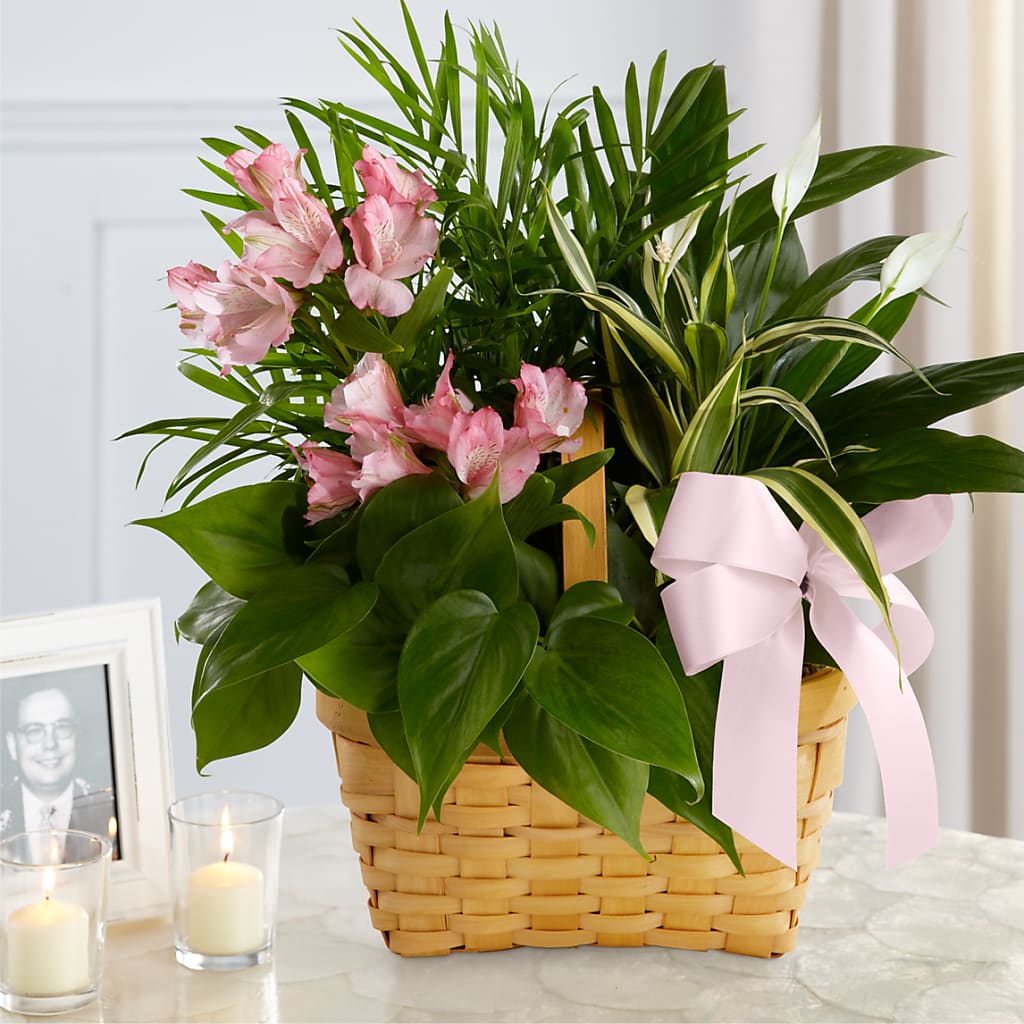 Living Spirit Dishgarden – THE FLORAL SHOP BY LOWE'S NURSERY, Morganton NC