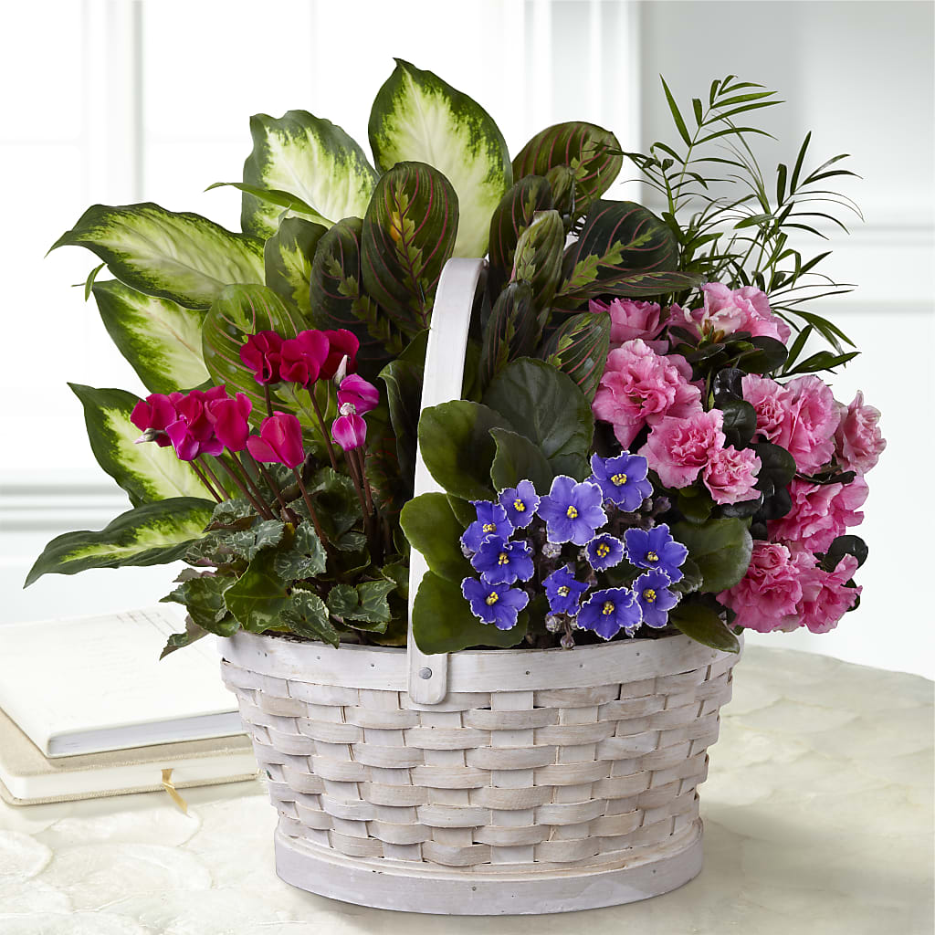 Peaceful Garden Planter – THE FLORAL SHOP BY LOWE'S NURSERY, Morganton NC