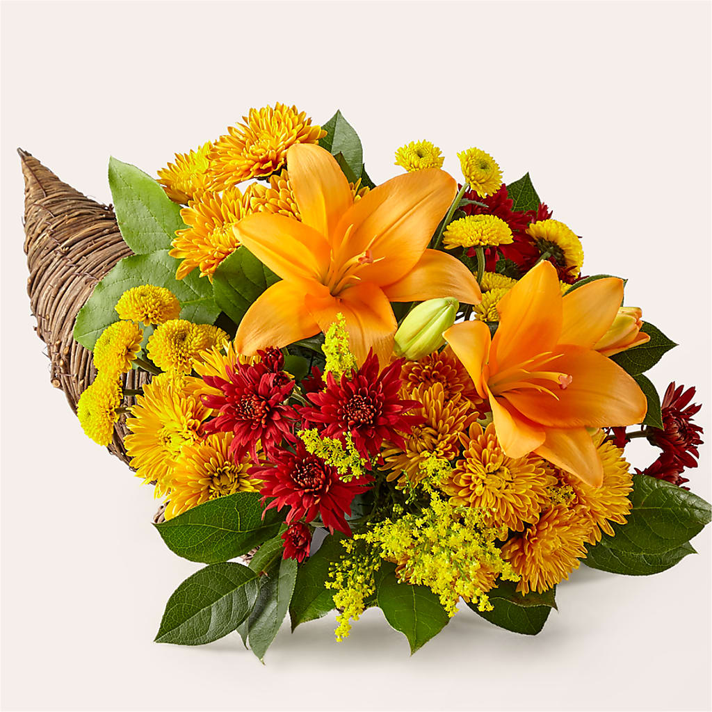 Feast of Color Cornucopia – THE FLORAL SHOP BY LOWE'S NURSERY, Morganton NC