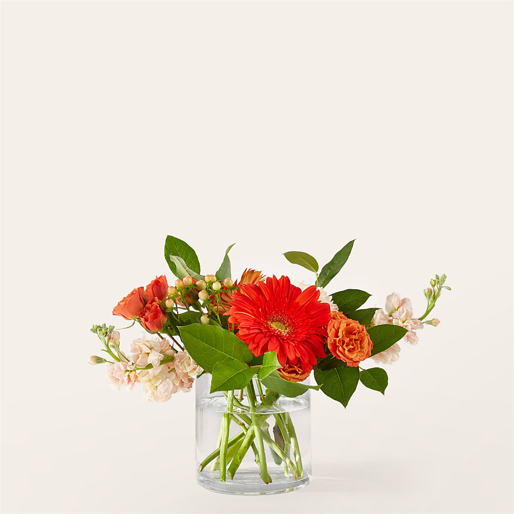 Paloma Please Bouquet – THE FLORAL SHOP BY LOWE'S NURSERY, Morganton NC