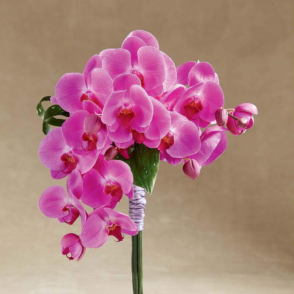 Glorious Bouquet – THE FLORAL SHOP BY LOWE'S NURSERY, Morganton NC