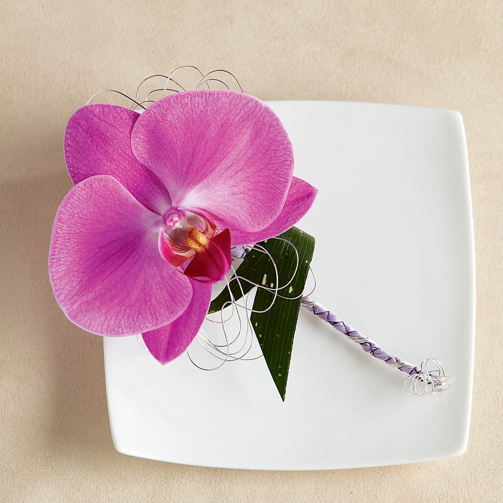 Glorious Boutonniere – THE FLORAL SHOP BY LOWE'S NURSERY, Morganton NC