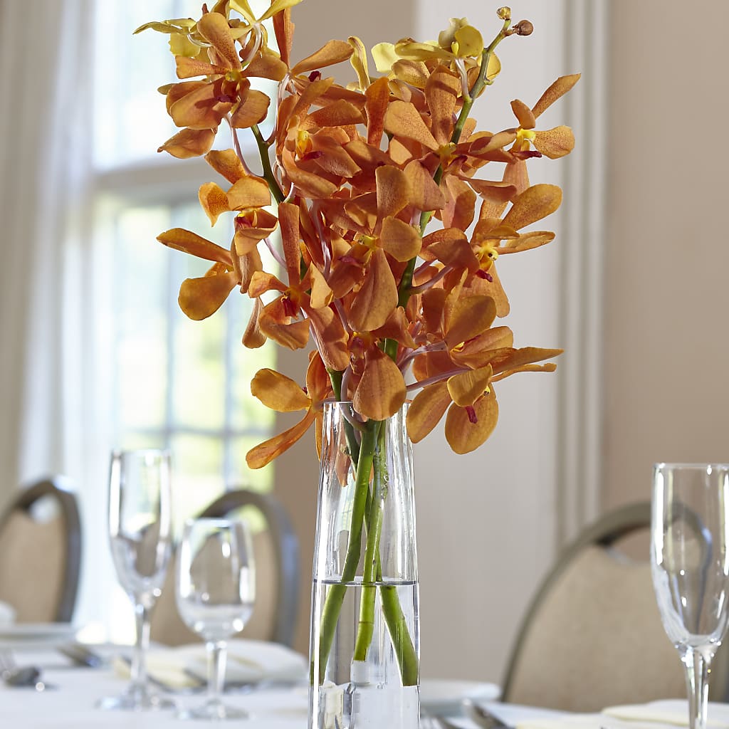 Orange Mokara Bud Vase – THE FLORAL SHOP BY LOWE'S NURSERY, Morganton NC