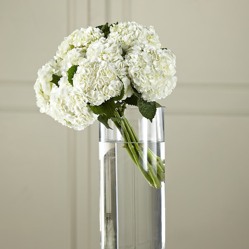 White Hydrangea Hand-Tied Bouquet – THE FLORAL SHOP BY LOWE'S NURSERY, Morganton NC