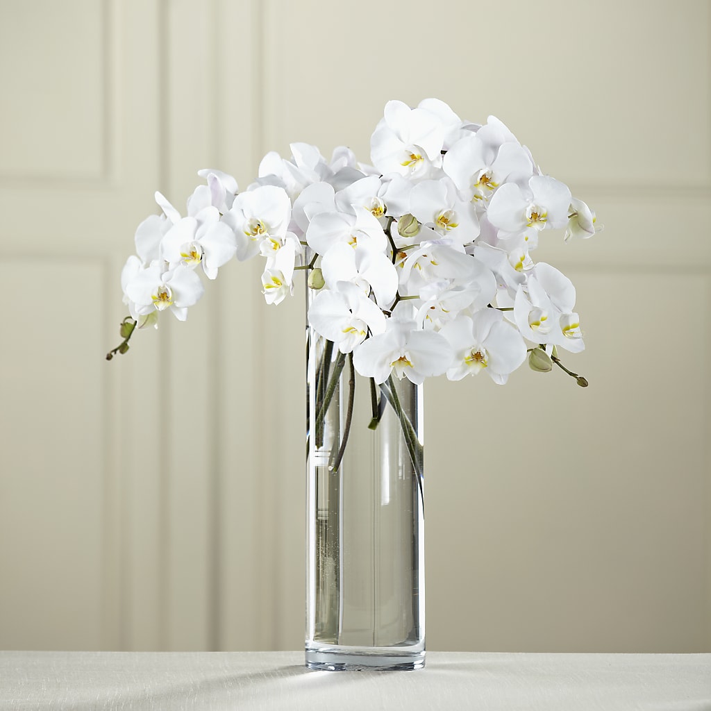 White Phalaenopsis Bouquet – THE FLORAL SHOP BY LOWE'S NURSERY, Morganton NC