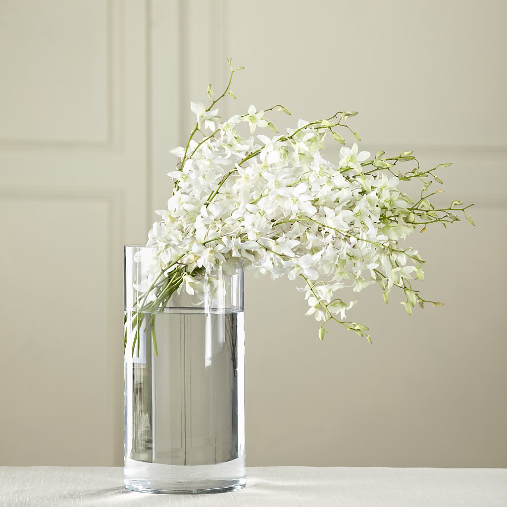 White Dendrobium Bouquet – THE FLORAL SHOP BY LOWE'S NURSERY, Morganton NC