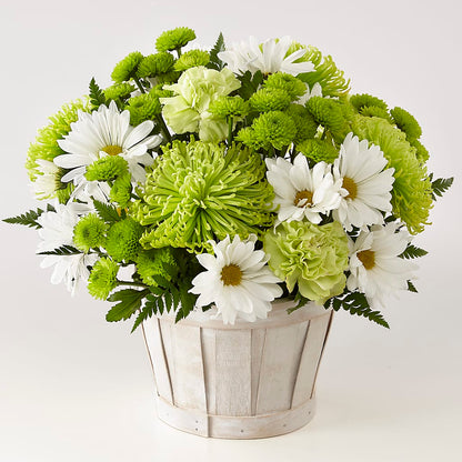 Lucky Charm Basket (Standard) – THE FLORAL SHOP BY LOWE'S NURSERY, Morganton NC
