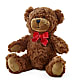 Adorable Plush Bear – THE FLORAL SHOP BY LOWE'S NURSERY, Morganton NC