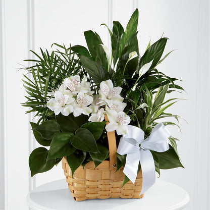 Peace & Serenity Dishgarden – THE FLORAL SHOP BY LOWE'S NURSERY, Morganton NC