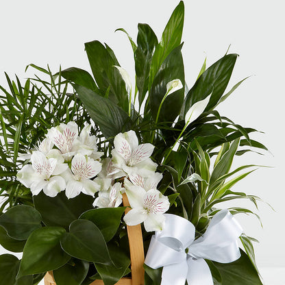 Peace & Serenity Dishgarden – THE FLORAL SHOP BY LOWE'S NURSERY, Morganton NC