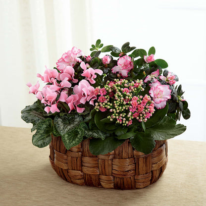 Pink Assortment – THE FLORAL SHOP BY LOWE'S NURSERY, Morganton NC