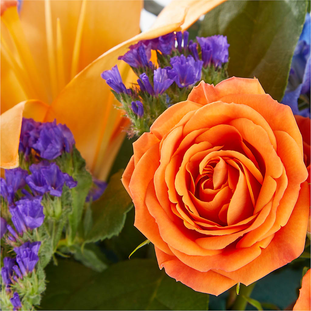 Radiant Citrus Box Bouquet – THE FLORAL SHOP BY LOWE'S NURSERY, Morganton NC