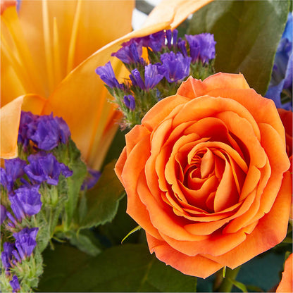 Radiant Citrus Box Bouquet – THE FLORAL SHOP BY LOWE'S NURSERY, Morganton NC