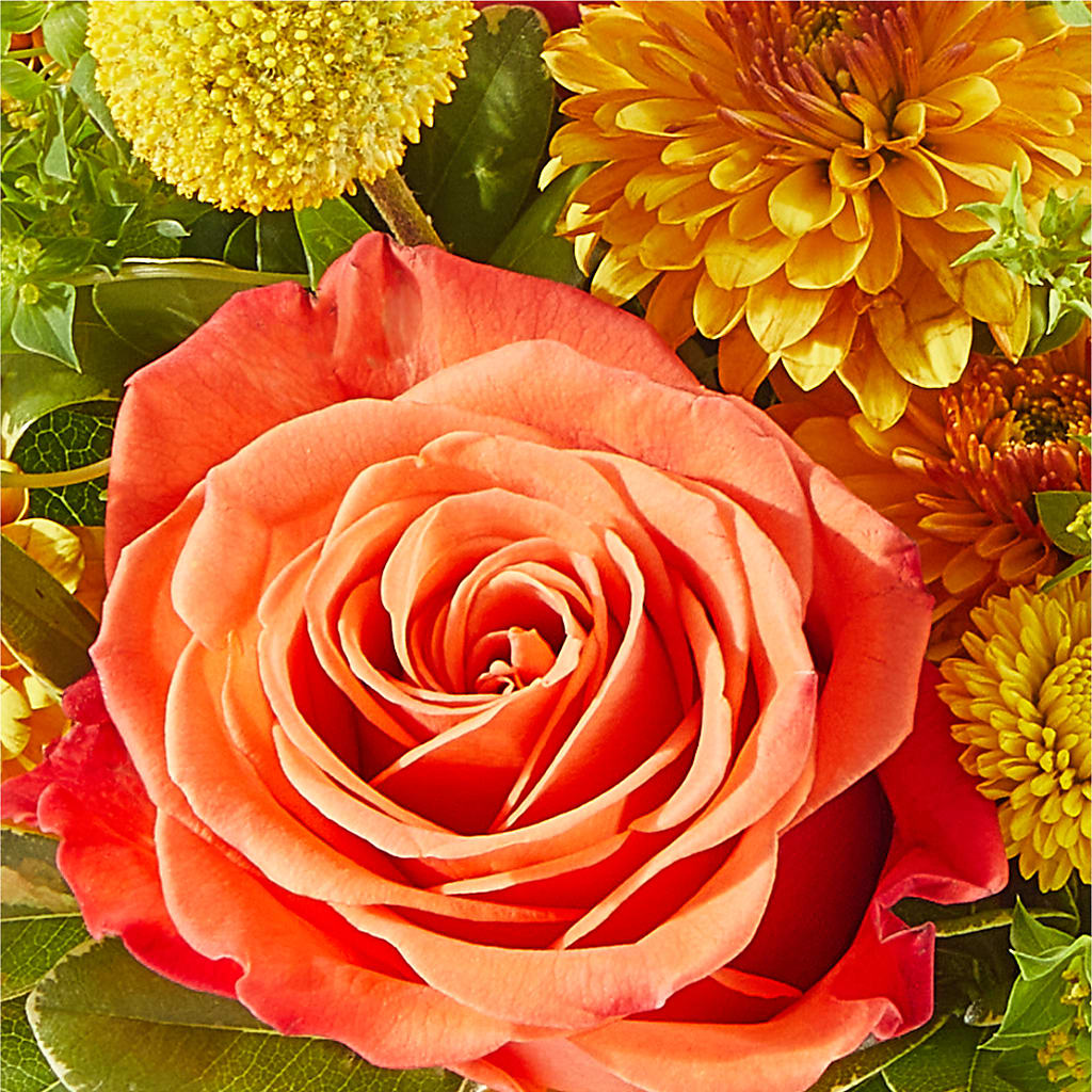 Gourdgeous Pumpkin – THE FLORAL SHOP BY LOWE'S NURSERY, Morganton NC