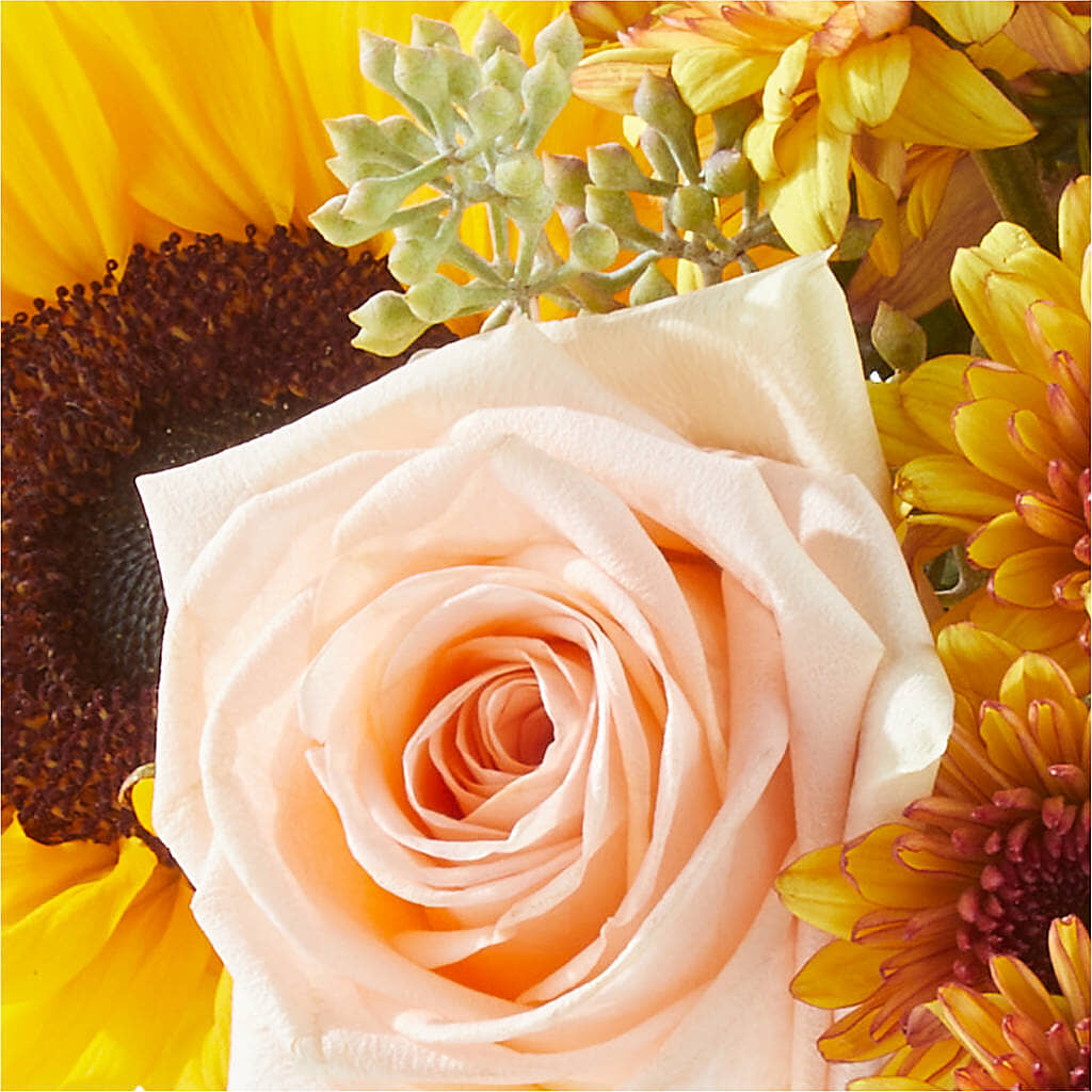 Pumpkin to Talk About Bouquet – THE FLORAL SHOP BY LOWE'S NURSERY, Morganton NC