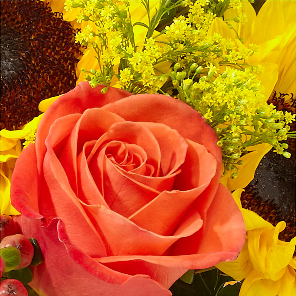 Pick of the Patch Pumpkin Bouquet – THE FLORAL SHOP BY LOWE'S NURSERY, Morganton NC