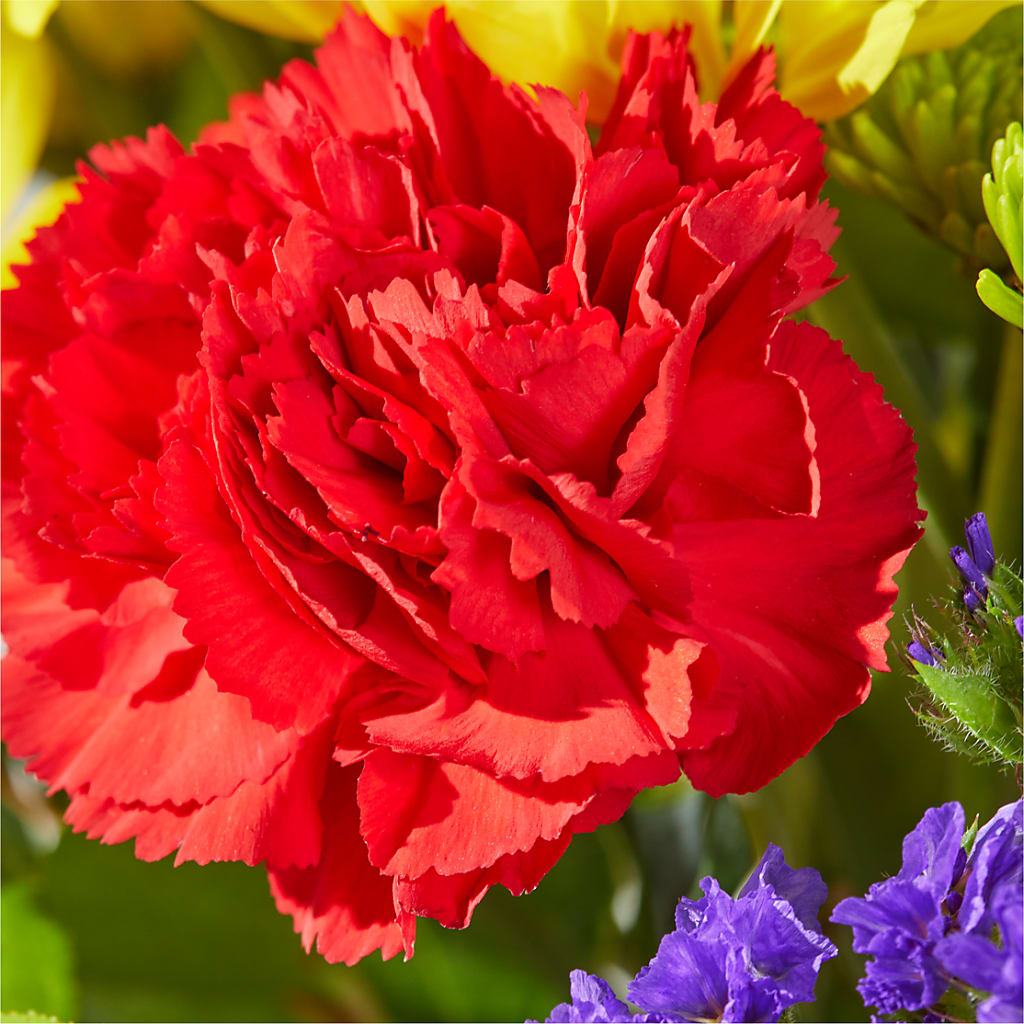 Brighter Days Bouquet – THE FLORAL SHOP BY LOWE'S NURSERY, Morganton NC