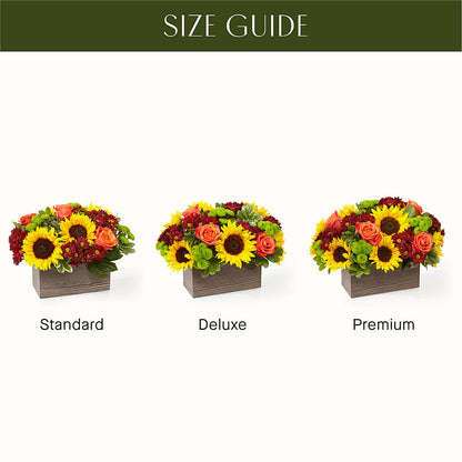 Happy Harvest Garden – THE FLORAL SHOP BY LOWE'S NURSERY, Morganton NC