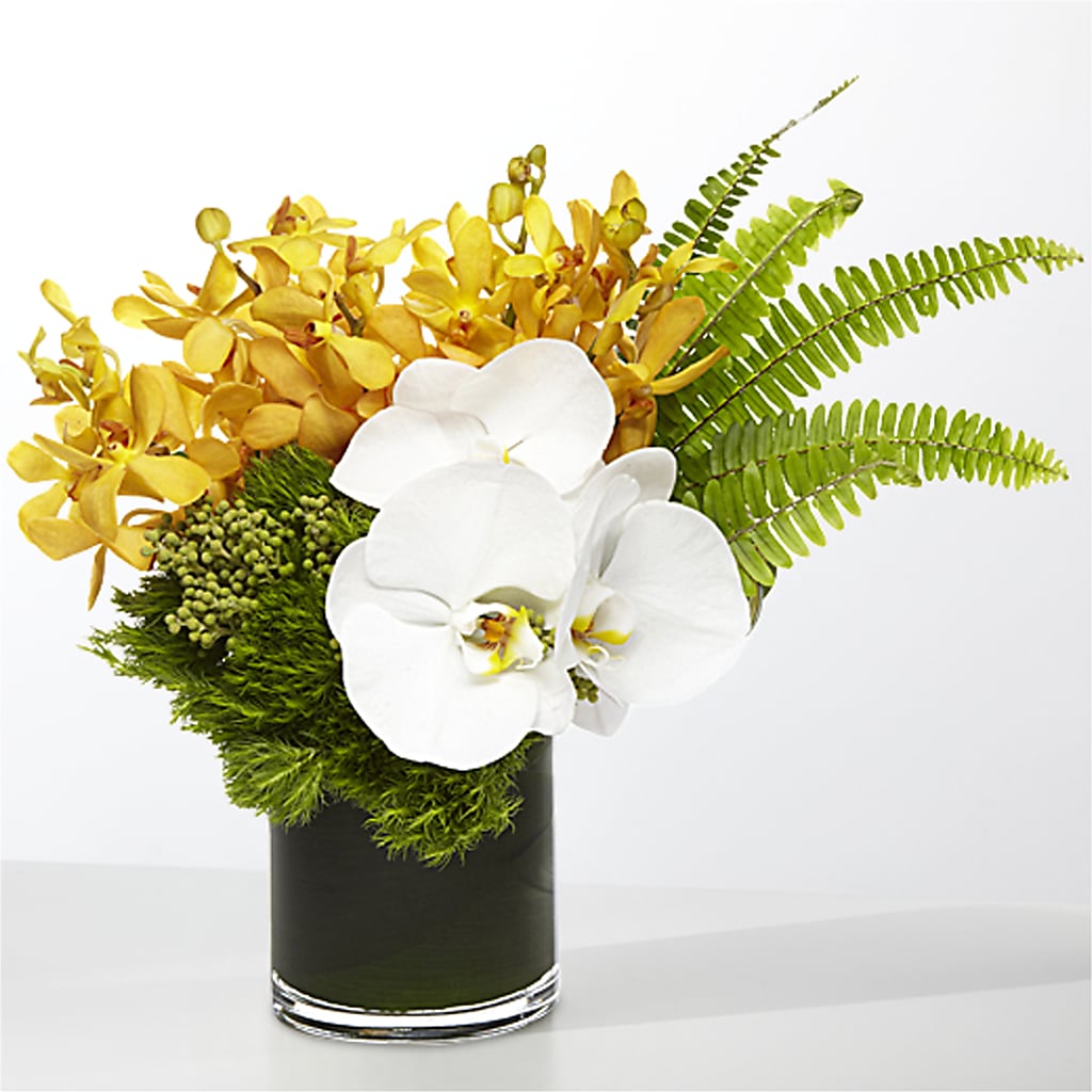 The Tropics – THE FLORAL SHOP BY LOWE'S NURSERY, Morganton NC