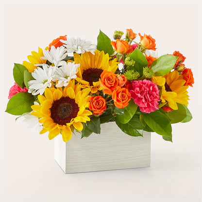 Sun-drenched Blooms Box Bouquet – THE FLORAL SHOP BY LOWE'S NURSERY, Morganton NC