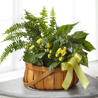 Always Dear Dishgarden – THE FLORAL SHOP BY LOWE'S NURSERY, Morganton NC
