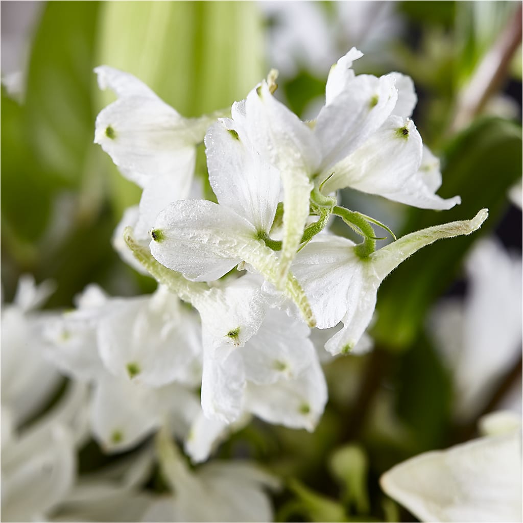 Classic Ivory – A Florist Original – THE FLORAL SHOP BY LOWE'S NURSERY, Morganton NC