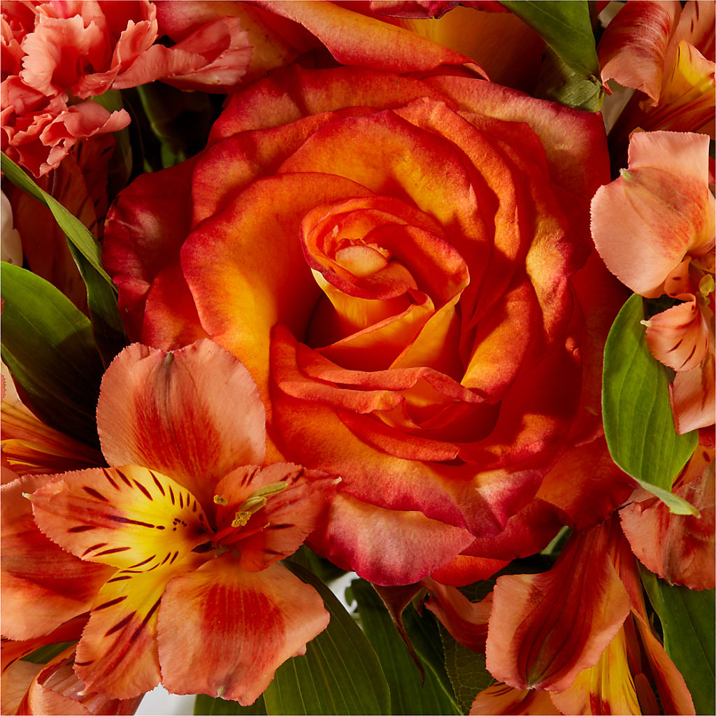 Apricot Glow Bouquet – THE FLORAL SHOP BY LOWE'S NURSERY, Morganton NC