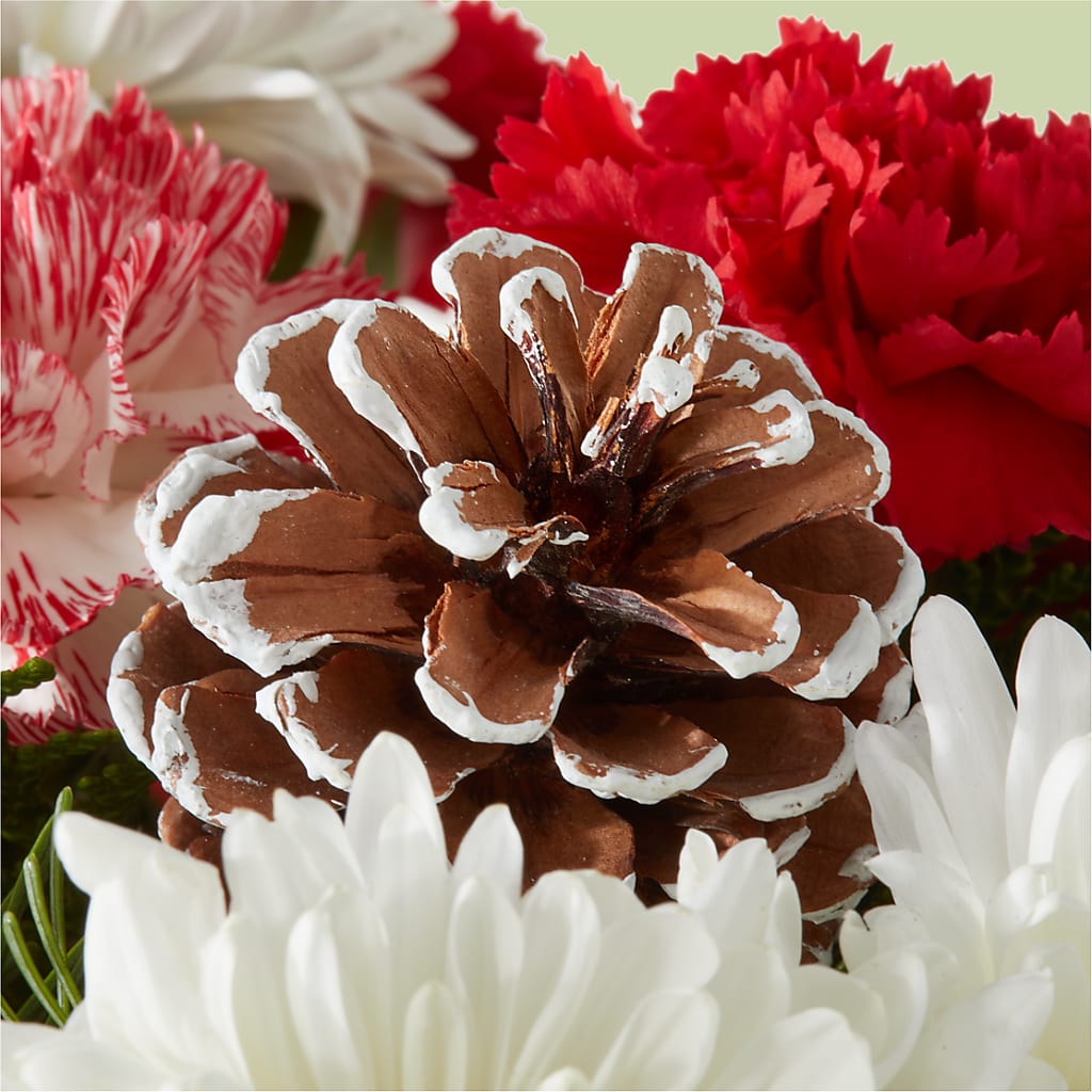 Candy Cane Lane Bouquet – THE FLORAL SHOP BY LOWE'S NURSERY, Morganton NC