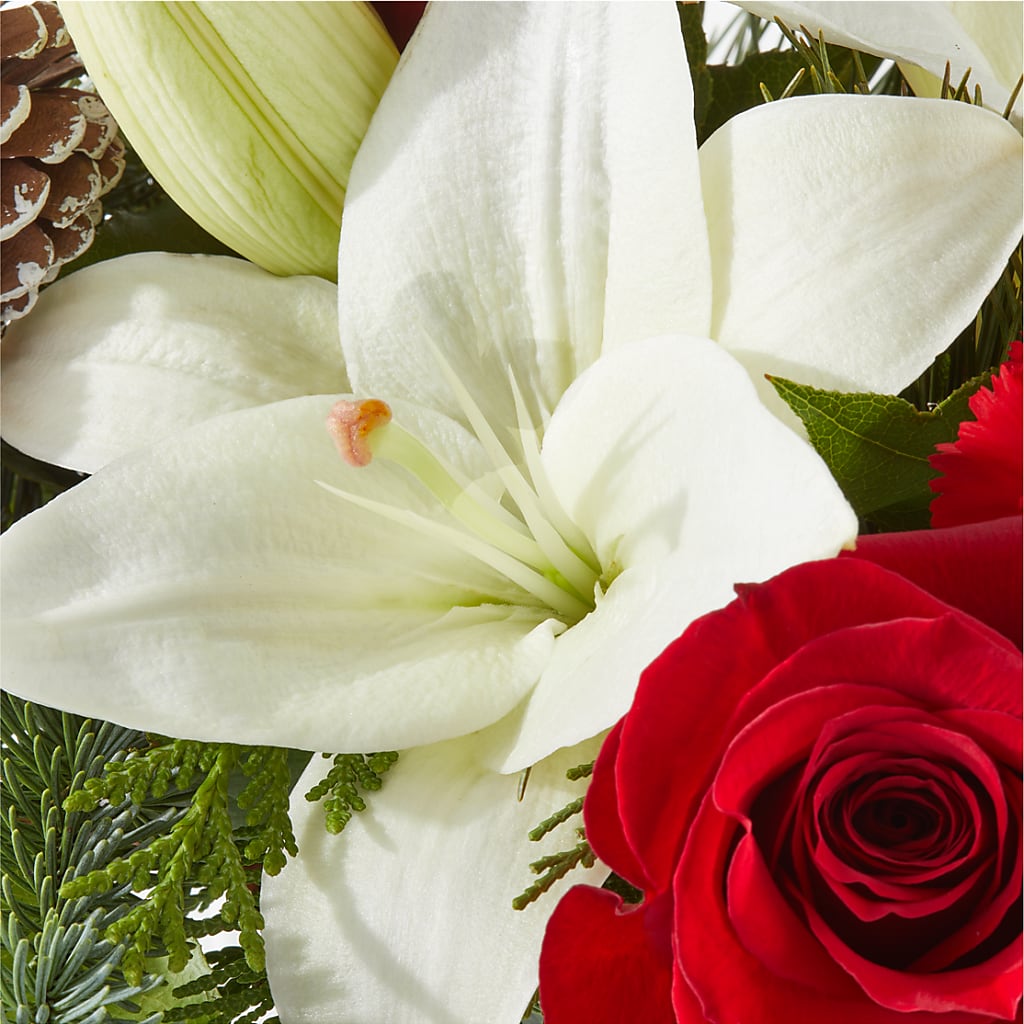 Oh So Jolly Bouquet – THE FLORAL SHOP BY LOWE'S NURSERY, Morganton NC