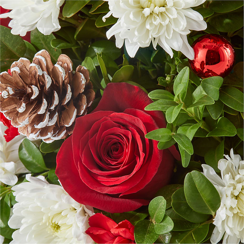 Let It Snow Tree – THE FLORAL SHOP BY LOWE'S NURSERY, Morganton NC