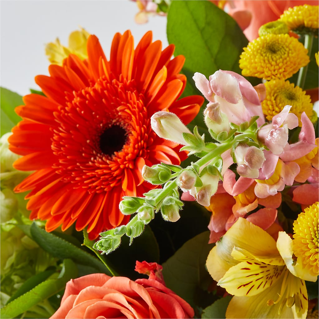 Autumn Sunshine Bouquet – THE FLORAL SHOP BY LOWE'S NURSERY, Morganton NC