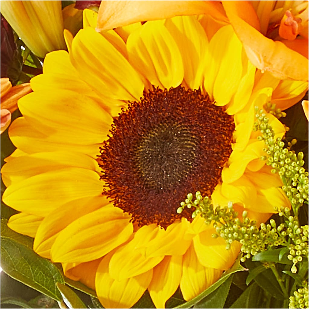 Seasons Change Bouquet – THE FLORAL SHOP BY LOWE'S NURSERY, Morganton NC