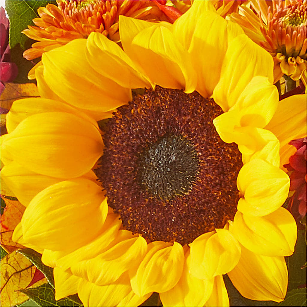 Sunny Side Bouquet – THE FLORAL SHOP BY LOWE'S NURSERY, Morganton NC
