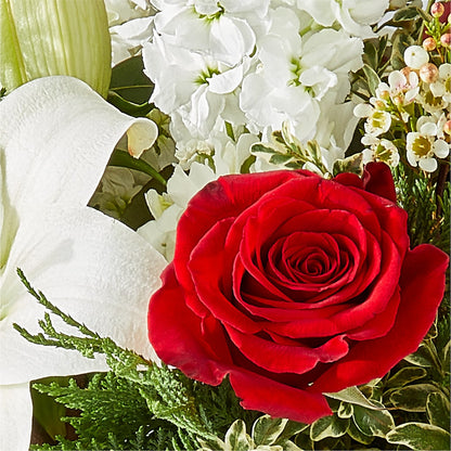 Twinkle Lights Bouquet – THE FLORAL SHOP BY LOWE'S NURSERY, Morganton NC