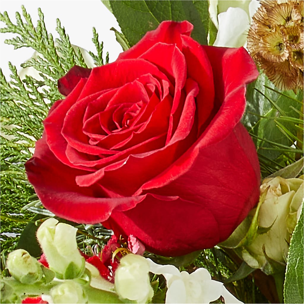 Deck the Halls Bouquet – THE FLORAL SHOP BY LOWE'S NURSERY, Morganton NC