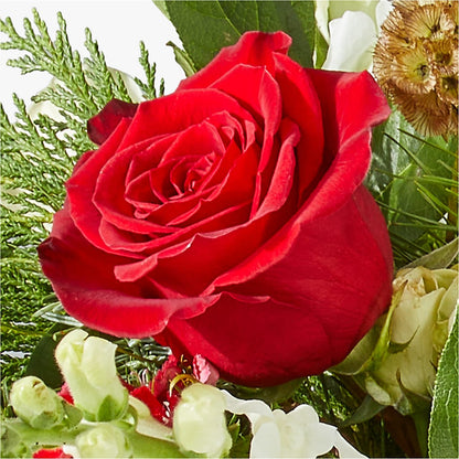 Deck the Halls Bouquet – THE FLORAL SHOP BY LOWE'S NURSERY, Morganton NC