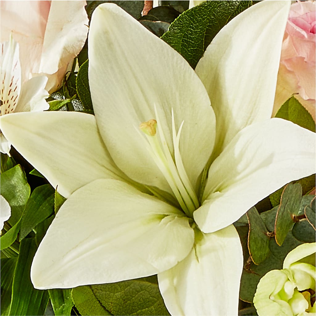 Ballet Slippers Bouquet – THE FLORAL SHOP BY LOWE'S NURSERY, Morganton NC