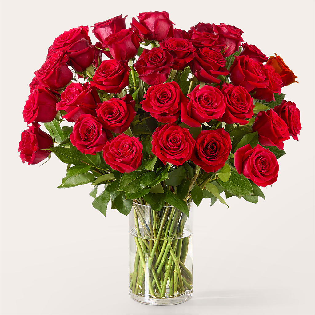 The One Red Rose Bouquet – THE FLORAL SHOP BY LOWE'S NURSERY, Morganton NC