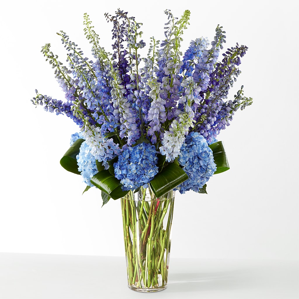 The Editorial – THE FLORAL SHOP BY LOWE'S NURSERY, Morganton NC