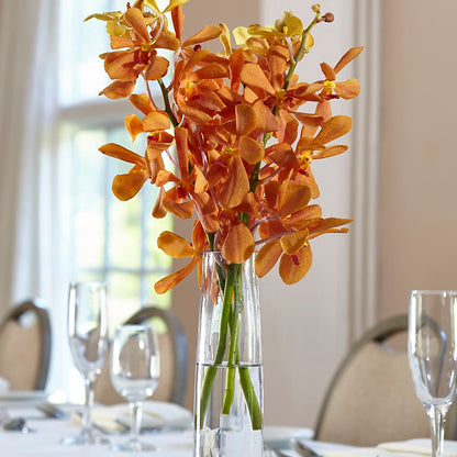 Orange Mokara Bud Vase – THE FLORAL SHOP BY LOWE'S NURSERY, Morganton NC