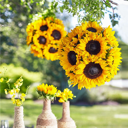 Sublime Garden Hanging Arrangement – THE FLORAL SHOP BY LOWE'S NURSERY, Morganton NC